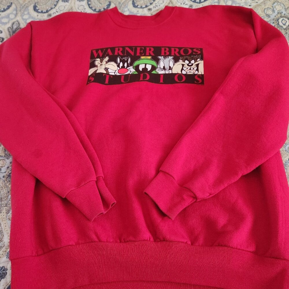 WB Studios Character Sweatshirt